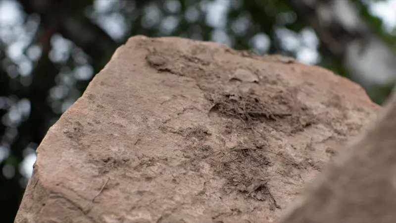 Ausstellung Baustoffe Steinbach - Impressionen 3